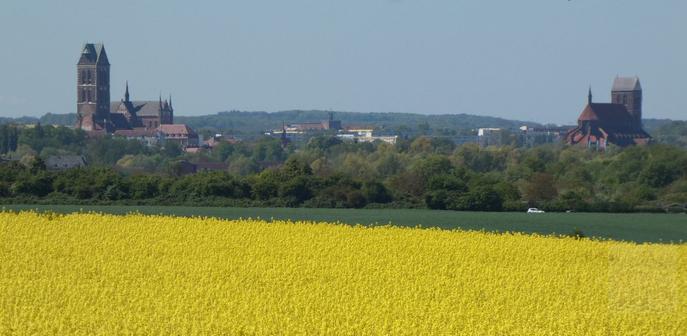 Photo: View across a field of yellow blossoms (rapeseed in full bloom), a line of green trees and behind that some high roofs of the town with the three medival churches of Wismar standing out far above them in the background. From left to right: The tower of the fromer church of St. Marien, with the church of St. Georgen right behind it. Next to that the roof of the historic Rudolph Karstadt Department Store, in the centre of the view the old main building and tower of the town hospital and to the far right the church of St. Nikolai.