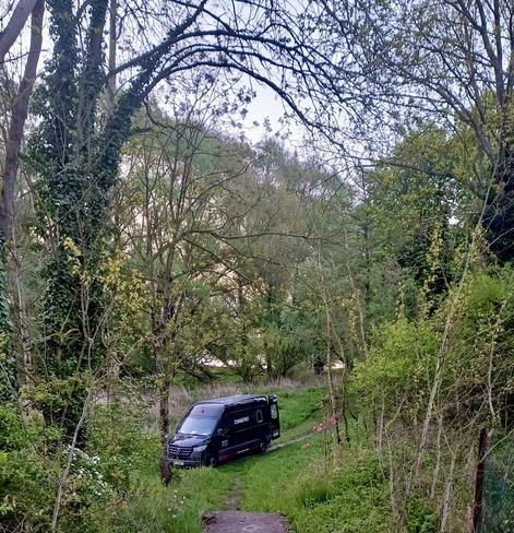 Transporter umgeben von Grün auf einem Wanderweg.