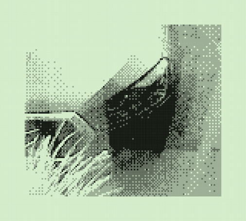 Photo of the bonnet of a car, with a patch of grass in front of it, highly pixelated
