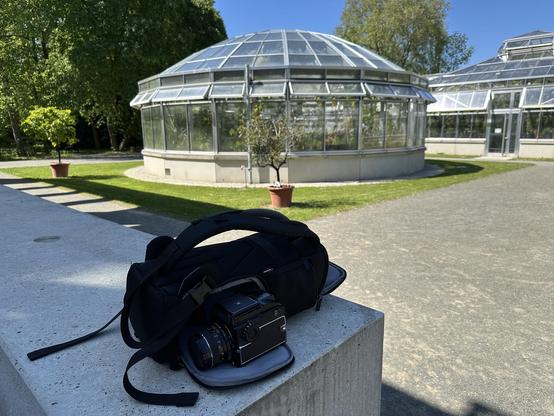 A camera rests on a gray stone surface with a black camera bag next to it. In the background, two glass greenhouses are visible, surrounded by greenery and flower pots. The scene is set on a sunny day.