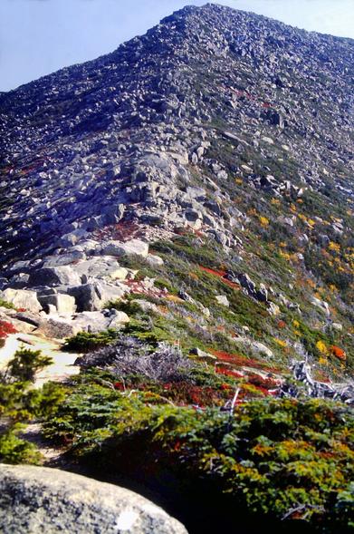 We are standing at the bottom of a steeply sloping narrow ridge running up into the clear blue sky. The ridge is covered with light gray rocks and boulders - it almost looks like a pile of rocks. There are swaths of ground-hugging green plants and shrubs - less near the top, more of them near us at the bottom. There are some patches of red and gold among the green swaths.