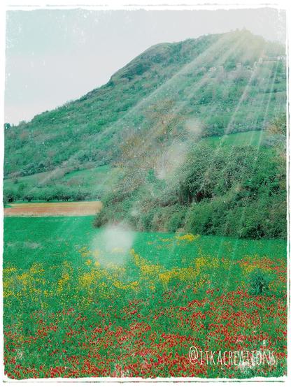 Butte de Nonette verdoyante et ensoleillée. A son pied un pré de trèfle incarnat et de fleurs jaunes.