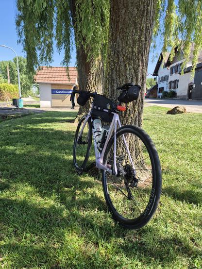Photo de mon vélo posé contre un arbre.