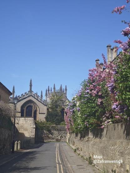Oxford 2025