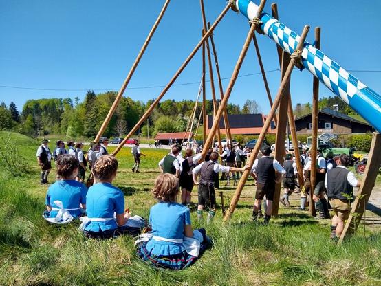 A group of men erecting a maypole while three small children are looking on. Everybody is wearing traditional attire. The sky is blue.