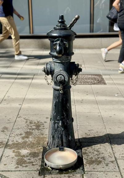a classic looking fire hyrdant, with a dog drinking bowl and drinking water dispenser