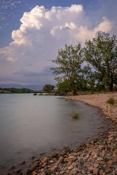 A vertical photograph showing the shore of a large reservoir. In the background, several large trees can be seen, followed by a blue sky with large white clouds.