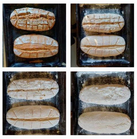 Vier Stadien eines Brotteiges auf dem Blech bis zum fertigen Brot.