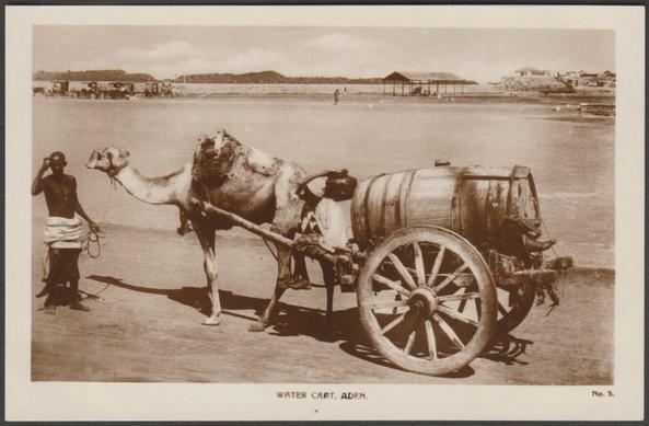 Sepia real photographic postcard showing a view of a camel drawn water cart at Aden.

Published by M.S. Lehem & Co, Aden, No 5, c.1920s.

Postally unused.

Excellent condition, with minimal corner bumps and light album marks.