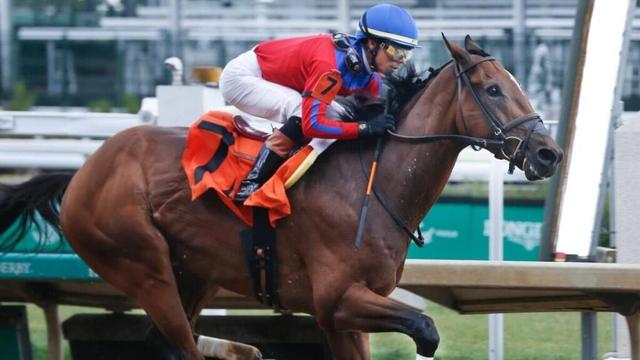 2025 Kentucky Derby predictions, odds, horses, date, post positions: Surprising picks from horse racing expert