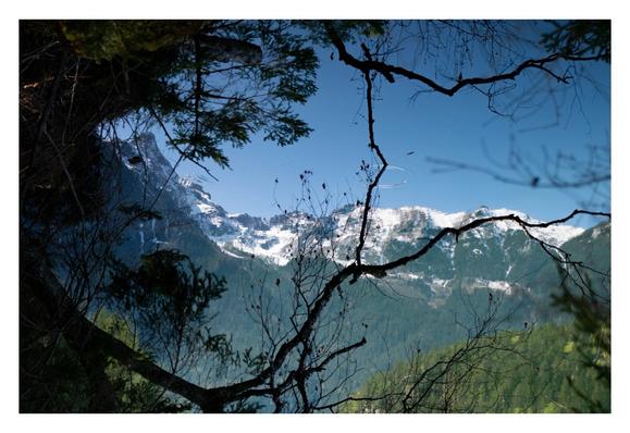 Foto im Querformat. Eine mit Schnee bedeckte Gebirgskette, darunter grüne Wälder. Im Vordergrund sind die Silhouetten von Ästen, teils kahl, teils mit Blättern. Bei genauerer Inspektion des Bildes erkennt man, dass es sich um die Spiegelung in einem Gewässer handelt. Mittig sind zwei kleine konzentrische Wellen. Das Bild steht als auf dem Kopf.