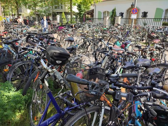 Eine riesige Menge an Fahrrädern im Villenviertel Grunewald