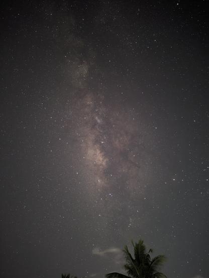 Another milky way photo, but in portrait. The trees' leaves is shown in the background on the bottom center of the photo.