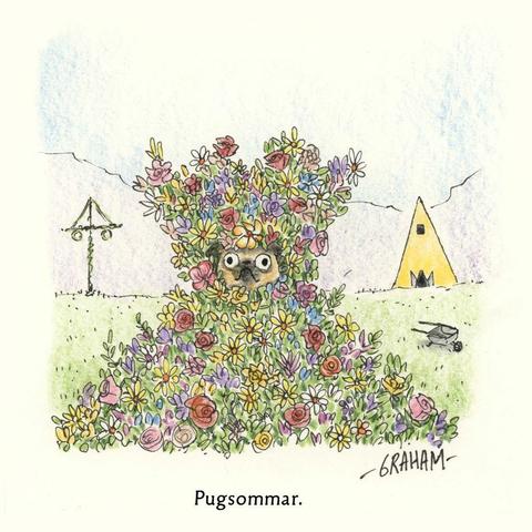 A cartoon illustration of a pug nestled in a tower or springtime flowers. Caption reads "Pugsommar."