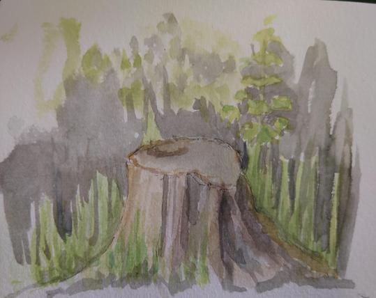 Baumstumpf gemalt und Aquarell