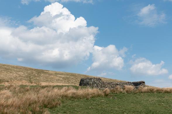 Colour photograph of a circular and slightly dilapidated stone sheepfold, set amongst tufty moorland grass and clumps of reeds. The sky is blue, with an enormous white puffy cloud.