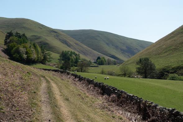 Colour photograph of a rough grassy track running to the left of a dry stone wall. The land rises steeply to the left of the path. To the right of the wall is a grassy field with some sheep in it, with a hill rising beyond. Further hills curve round ahead of the viewer. The scene is dotted with trees and small copses. The sky is pale and hazy, but the scene is sunny.