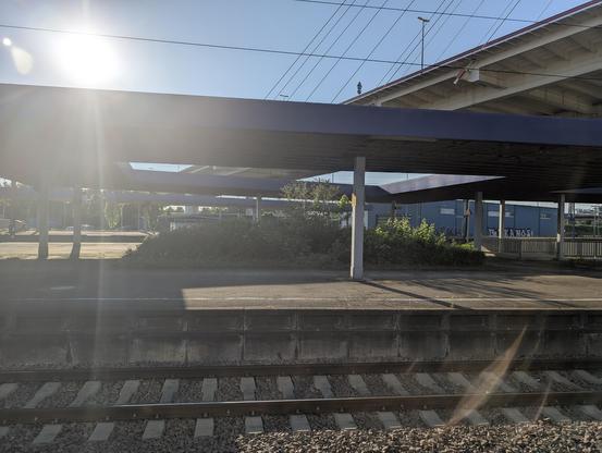 Ein stiller Bahnsteig mit blauem Dach, das an Aral Tankstellen erinnert, Sonnenstrahlen im Bild; in der Mitte wuchern Büsche.