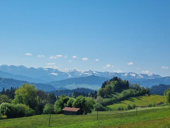 Blick über grüne Wiesen auf Berge der Nagelfluhkette bei blauem Himmel.