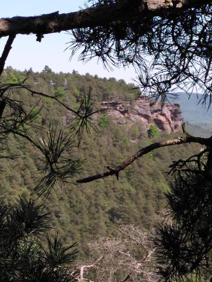 Ausblick auf Felsen im Pfälzer Wald