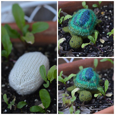 Composite photo of a hand knit toy sitting in a flower pot full of seedlings. Clockwise from left: a cream-coloured egg; a smiling turtle in shades of green with a striped shell; the same turtle from a slightly different angle, so the face is more visible. The turtle turns inside out to become the egg; the egg becomes the stuffing for the turtle.