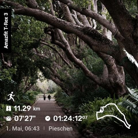 Eine Zusammenfassung der heutigen Sportlichen Aktivität.
Der Hintergrund zeigt einen tropischen Waldweg. Das Wasserzeichen zeigt die Strecke von 11.29 km mit einer Pace von 7 Minuten und 27 Sekunden.
Die Zeit beträgt 1 Stunde und 24 Minuten. Die Stecker ist Graphisch dargestellt und ganz unten sind Datum und Uhrzeit eingeblendet.