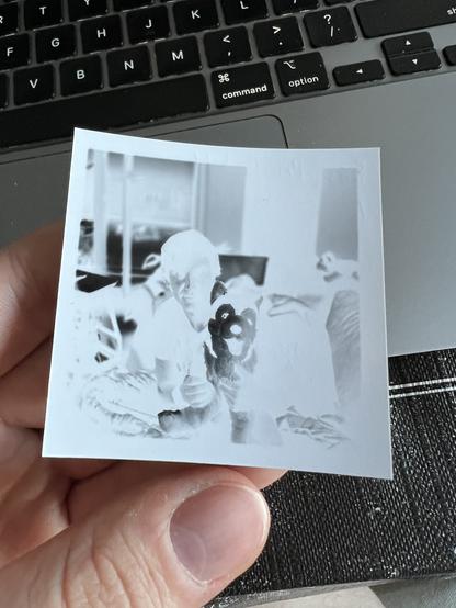 The original image held in my hand