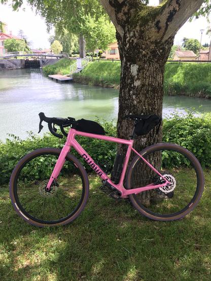 Un magnifique vélo de gravel Giava Spot rose posé contre un arbre à Moissac, au bord du bassin du Canal.