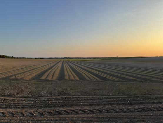 Sunset view over a freshly ploughed field