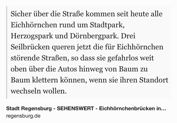Text Shot: Sicher über die Straße kommen seit heute alle Eichhörnchen rund um Stadtpark, Herzogspark und Dörnbergpark. Drei Seilbrücken queren jetzt die für Eichhörnchen störende Straßen, so dass sie gefahrlos weit oben über die Autos hinweg von Baum zu Baum klettern können, wenn sie ihren Standort wechseln wollen.