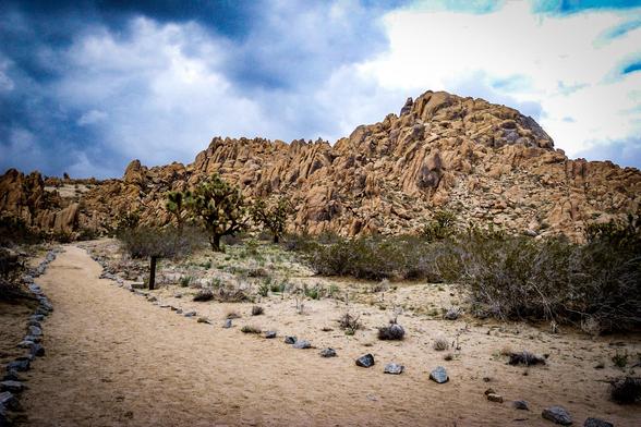 The image depicts a desert landscape with a prominent rocky hill in the background. The hill is composed of rugged, tan-colored rock formations with various shapes and sizes, creating a textured and uneven surface. In the foreground, a sandy path winds through the desert, bordered by small, gray rocks on one side. The path is flanked by sparse vegetation, including a few Joshua trees and low shrubs, typical of a desert environment. The sky above is partly cloudy, with dark clouds suggesting the possibility of rain, while patches of blue sky are visible. The overall color palette is dominated by earthy tones, with the sandy path contrasting against the rocky hill and the greenery of the desert plants.

Provided by @altbot, generated privately and locally using Ovis2-8B