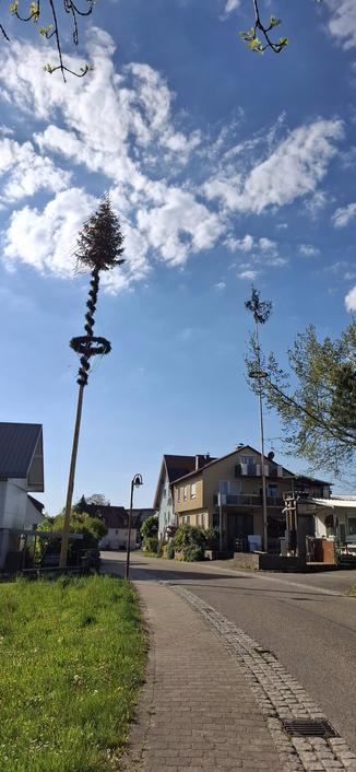 A scene in a village. Tall maypoles have been raised at buildings on both sides of the street.