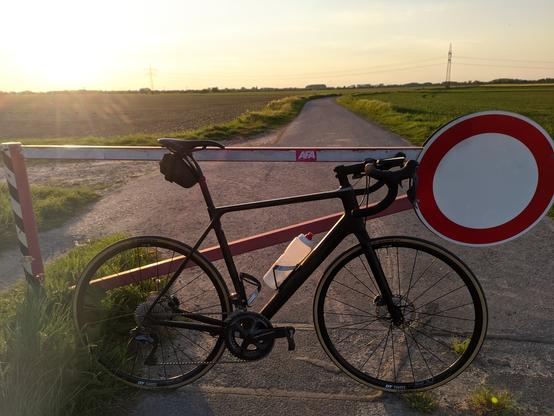 Ein Canyon Endurace lehnt auf einem Wirtschaftsweg an einer Schranke. Ringsum sind Felder, die Sonne steht am Himmel.