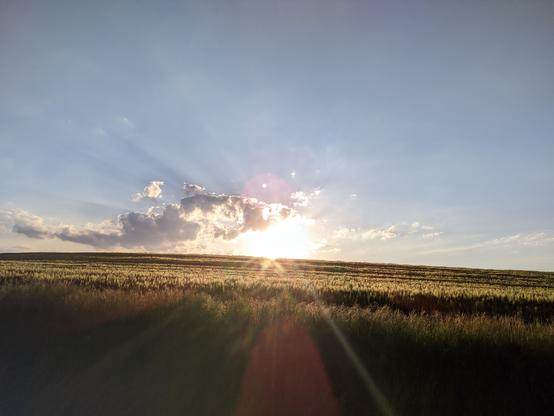 Die Sonne steht tief am Himmel, ist von einer kleinen Wolke leicht bedeckt. Felder bis zum Horizont.