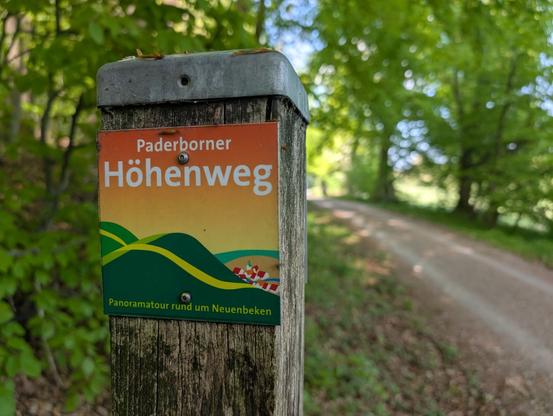 Bunter Wegweiser mit der Aufschrift "Paderborner Höhenweg". Rechts daneben etwas unscharf ein Weg durch einen Wald.