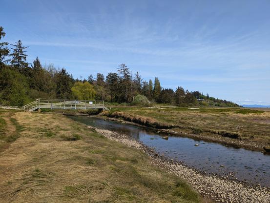 Photo of a watershed area on Vancouver Island, showing a small creek, some tide pools and a grassy field that transitions to a conifer forest.