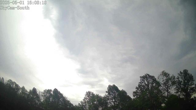 This webcam usually shows a view of the sky with trees in the foreground. It's a cloudy day. It's 68ºF/20ºC.