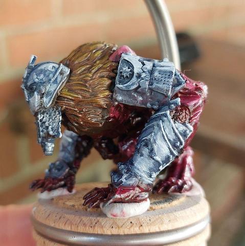 Angry Kitty wearing helmet and arm armour and looking flayed (probably the cause of its chagrin)
