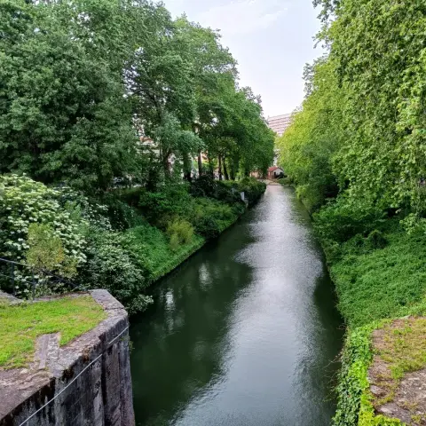 Lourdes, en passant par Toulouse