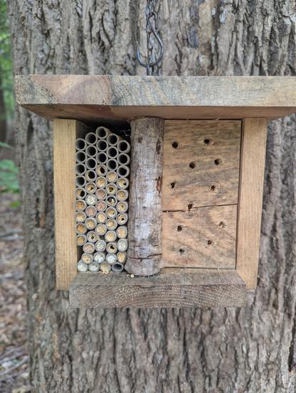 A small wooden box.  About 12" x 12" left side has about 50 1/4" tubes stacked.  About 35 of the tubes are closed off and probably occupied by a carpenter bee hatchling.
The right side of the box has 11 rough drilled holes for bees but they appear un-touched so far.