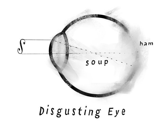 A drawing or diagram of the eye, looking at a letter S. Caption says "Disgusting Eye". Apparently the eye's interior is "soup" and "ham". I'm not entirely convinced this proper science. Must be art then.