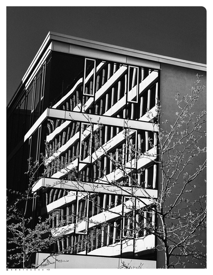 Schwarzweißfotografie: ein modernes eckiges Gebäude mit einer großen Fensterfront, in dieser spiegelt sich ein anderes Haus mit vielen Fenstern wieder, davor zwei dünne junge Bäume, darüber einheitlicher grauer Himmel