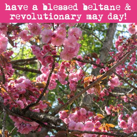 Photo of bright cherry blossoms in a park. Through the branches other green trees peek through in the background.

Text: Have a blessed beltane & revolutionary may day.