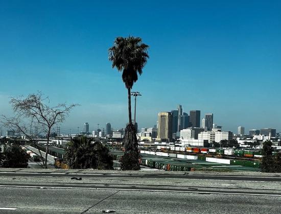 Photo of the buildings of downtown Los Angeles and an industrial area behind a palm tree and part of the 5 freeway. Taken from the passenger seat of the car when a slight slowdown gave me enough time to take a picture.