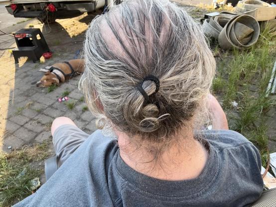 An individual with gray hair styled in a bun is seated outdoors, wearing a gray t-shirt. In the background, a dog lies on the ground and various items, including tools and grass, are scattered around.
