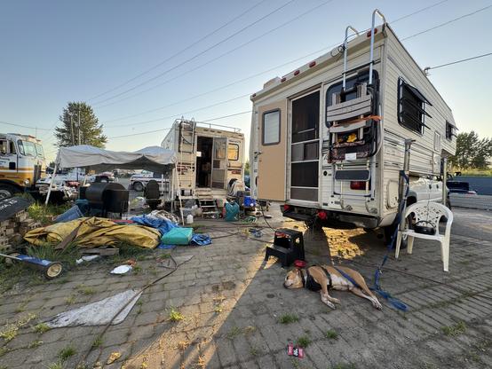 A cluttered outdoor scene featuring two campers, a makeshift canopy, and various scattered items, including tarps and a grill. A dog lies on the ground, and a chair is positioned nearby. The setting appears informal and somewhat chaotic