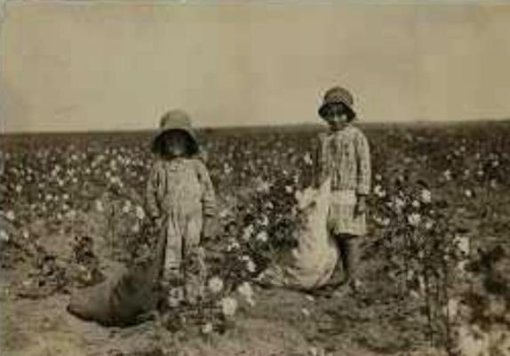 Sepia-toned photograph from US government archives depicting a young boy and girl, standing in a field of cotton which they are picking -  one of many images in the video compilation in link