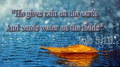"He gives rain on the earth And sends water on the fields." Job 5:10

Background is rain falling onto water - very blue - and an orange leaf floating past