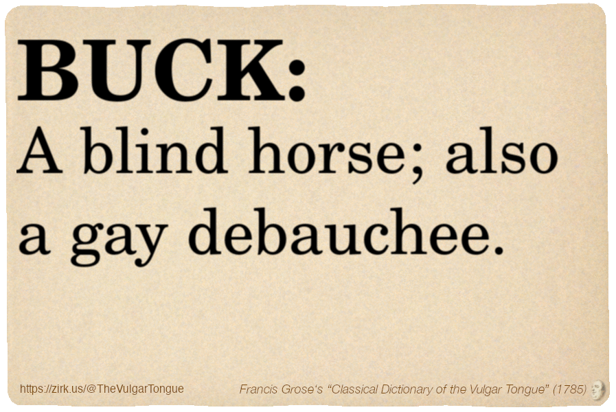 Image imitating a page from an old document, text (as in main toot):

BUCK. A blind horse; also a gay debauchee.

A selection from Francis Grose’s “Dictionary Of The Vulgar Tongue” (1785)