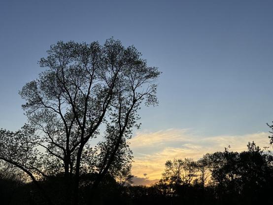 Trees are silhouetted against a blue sky with orange clouds low above the horizon.